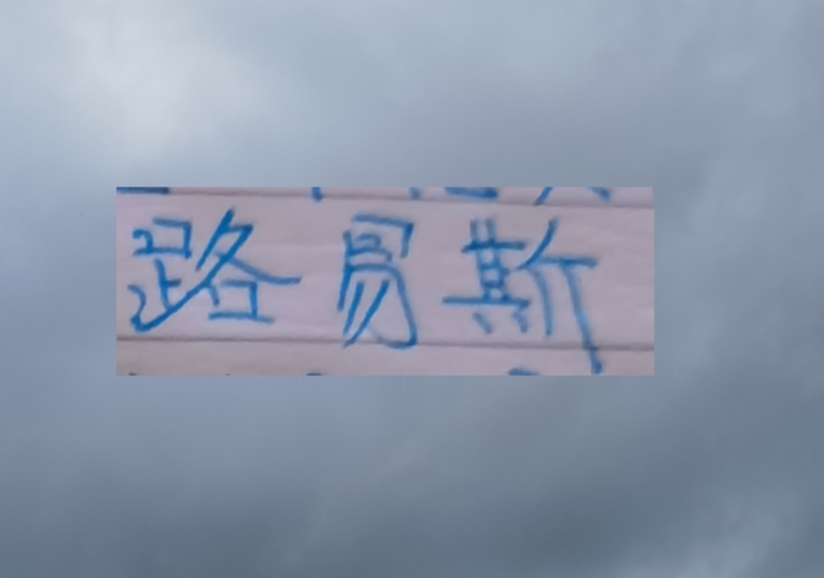 开云官网-想不到！没有被申花续约路易斯 回到巴西第二场比赛就进球